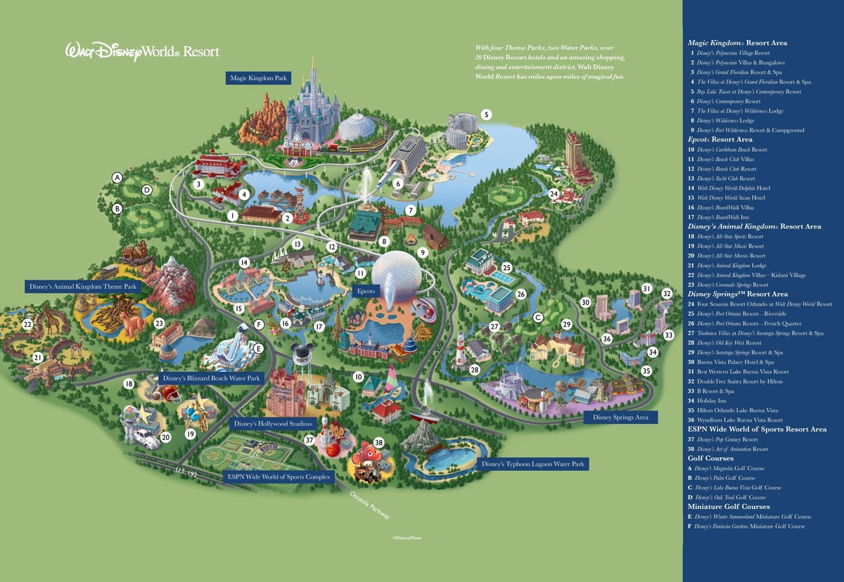 Disney World grípa kort